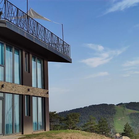 Divčibare Vila Onyx מראה חיצוני תמונה